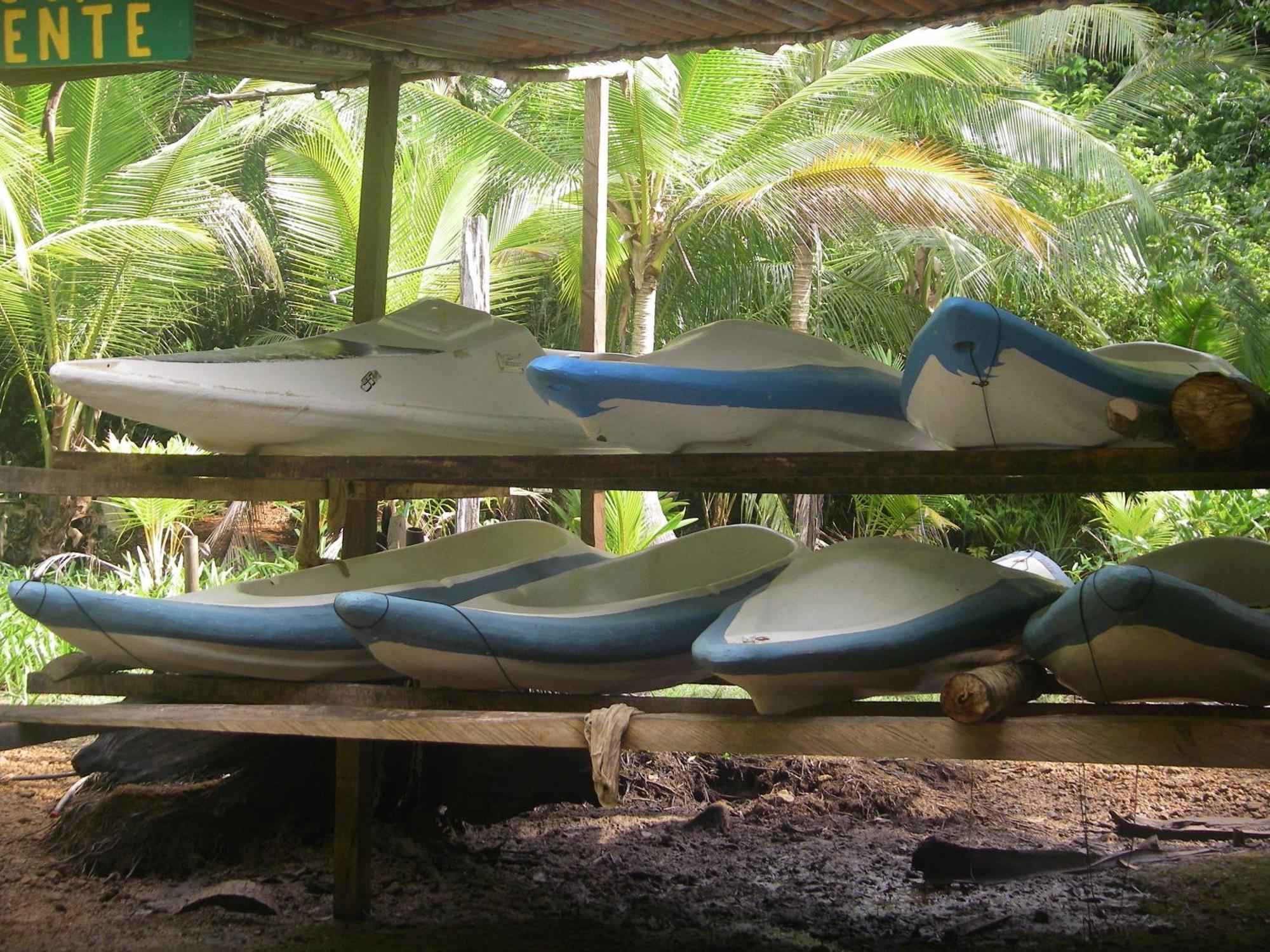 Isla Violin Eco-Lodge Drake Bay Zewnętrze zdjęcie